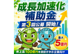 「【最大5億円】成長加速化補助金3次公募」の申請サポートを開始します！【助成金なう】