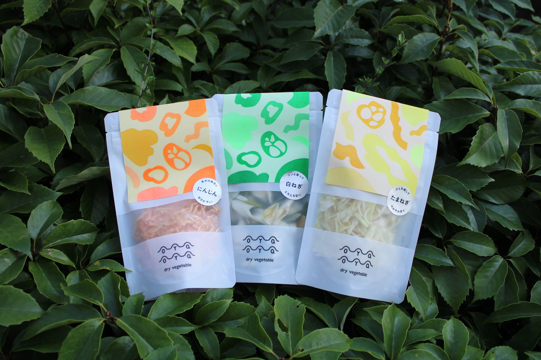 "アウトドアがさらに楽しくなる" 規格外野菜を使用した乾燥野菜「OYAOYA」お試しセットの販売開始