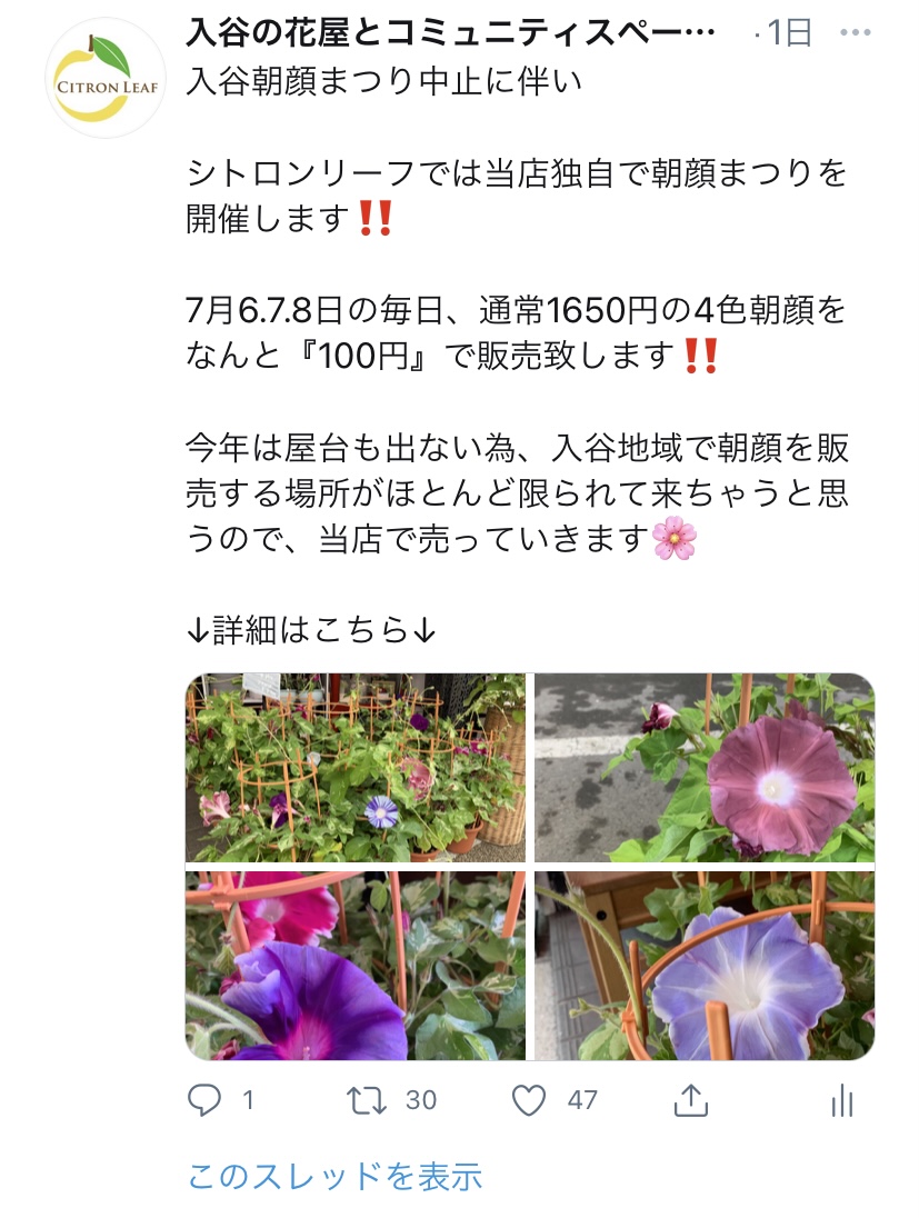 7月6 7 8日の入谷朝顔まつりの中止に伴い 入谷の花屋 さんが１鉢１００円で朝顔を販売して地元を盛り上げる 株式会社citronleafのプレスリリース