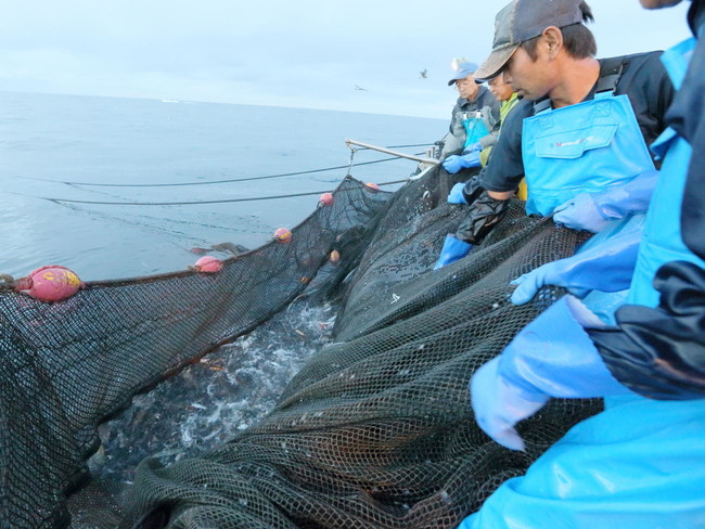 全室プライベートサウナ温泉露天風呂付き報道関係各位