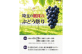 通常は産地直売所でしか手に入らない埼玉ぶどうを県中心部で販売「埼玉の朝採れぶどう祭り」を開催