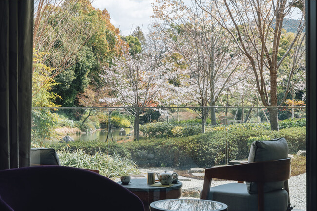 レジデンシャルスイートから見る積翠園の桜 レジデンシャルスイートから見る積翠園の桜