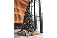 【フォーシーズンズホテル京都】本日より高さ６メートルのクリスマスツリーが登場！ 