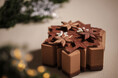 【フォーシーズンズホテル東京大手町】クリスマスケーキ「エトワール ショコラ」10月1日（木）より予約受付開始