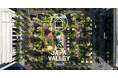 ファレル・ウィリアムス、NIGO®が仕掛ける初のアート・商業・ホスピタリティ複合空間「JAPA VALLEY TOKYO」、2027年有楽町に開業
