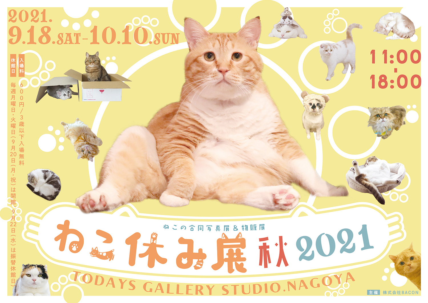 来場者数100万人突破】SNSで話題の猫写真&猫グッズが大集合する!「ねこ