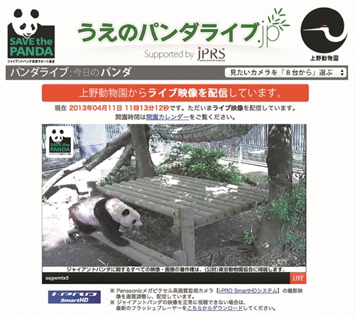 上野動物園公式のジャイアントパンダ ライブ配信サイト うえのパンダライブ Jp リーリー お誕生日おめでとう プレゼントキャンペーン 株式会社第一通信社のプレスリリース