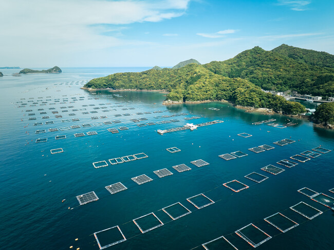 宮崎県延岡市沖に浮かぶ島浦島。魚が育ちやすい地形や海流、美しい自然は宝です