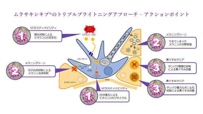 トリプルブライトニングアプローチの概略図