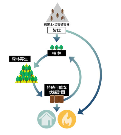 森林再生事業イメージ