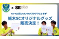 【栃木SC 選手オリジナルグッズ販売決定】選手が作成したグッズを10/12vs福島ユナイテッドFC戦にて販売【栃木SC×SEプラスコラボ企画第4弾】