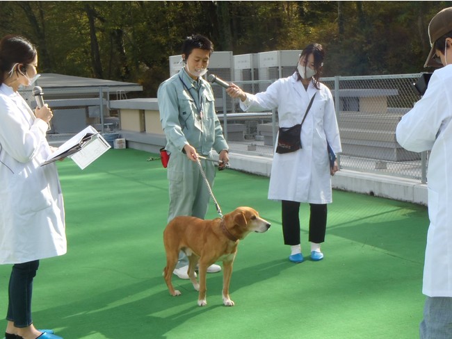 前回のオンライン譲渡会の撮影風景