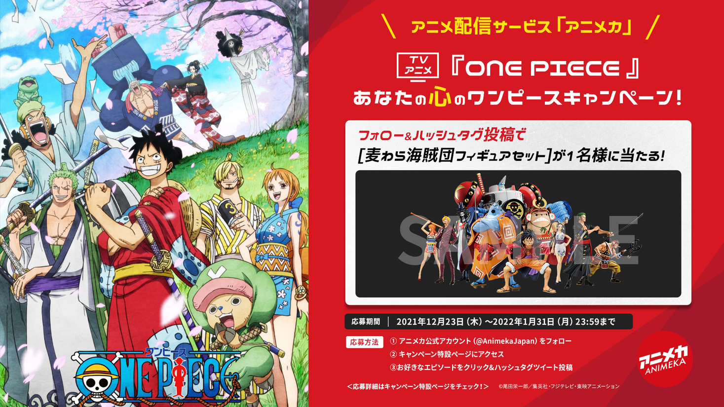 アニメ配信サービス アニメカ あなたの心のワンピース キャンペーン開催 あなたの心に燦然と輝くエピソードは ケンドーコバヤシ シルクロード Glim Spankyらも続々と発表 アニメカ有限責任事業組合のプレスリリース