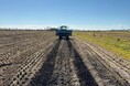 TOWINGと兼松、一風堂を運営する力の源カンパニーへ、国産米と環境価値のセット供給を実現