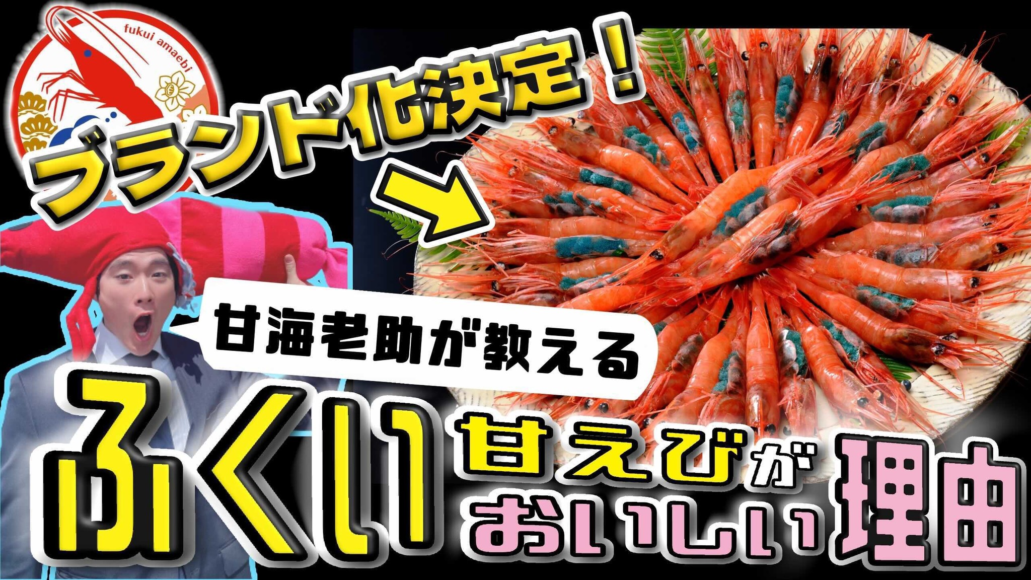 ブランド化決定 現役公務員が ふくい甘えび の美味しさの理由を全力でpr 坂井市役所のプレスリリース