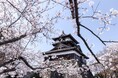 丸岡城が国内最大級の祭典「お城EXPO2024」に出陣!
