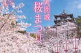 丸岡城桜まつり2025を開催します(福井県坂井市)