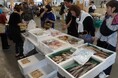 【福井県坂井市】三国港朝市を開催！　4月19日（日）から