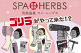 SPA-HERBSに、ゴリラがやってきた！？大人気「ゴリラシリーズ」が館内をジャック！！9月17日よりハイパワーコラボがスタート！！