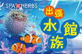 【夏休み特別イベント！】埼⽟最⼤級のスパリゾート「美楽温泉 SPA-HERBS」で出張水族館を期間限定で開催！