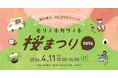 【4/11】福井県勝山市、桜満開のキャンプ場を無料開放。お花見イベント「モリノネカワノネ桜まつり」を開催