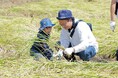 都会の親子約500名が、稲刈りで”秋の恵み”を体験!アンジェリカ保育園、千葉県長柄町で稲刈り体験イベント開催