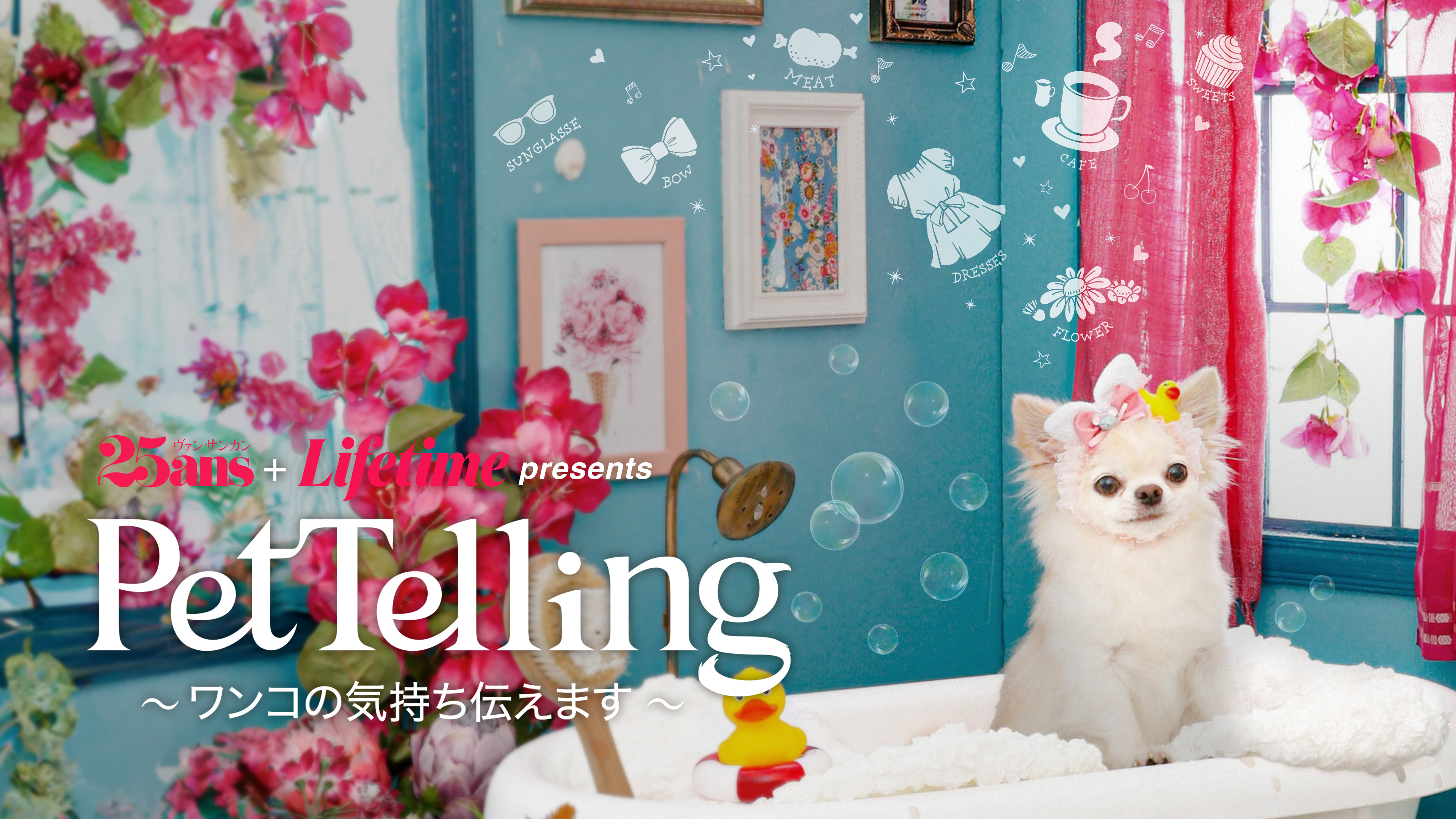 ペットの本音をスピリチュアルカウンセラーが伝えます「Pet Telling