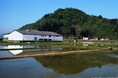 緑川酒造株式会社より　新シリーズ Phenomeno 第一弾　 数量限定発売