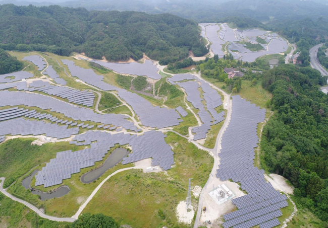 国内初、太陽光発電所における「生態系リデザイン」事業開始 創業100年 
