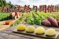 おいも好き悶絶の２か月間！～焼肉屋ですが、さつまいもジェラートに本気です。～4大銘柄の王道おいもジェラートや、期間中全１２種類のおいもジェラートを提供！至極の祭典『おいも祭り』（10/1～11/30）