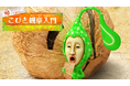 「こびとづかん」動画シリーズ「帰ってきた こびと観察入門」待望の新作「トコシエノシアワセ編」公開! 公開即2万回再生を突破!