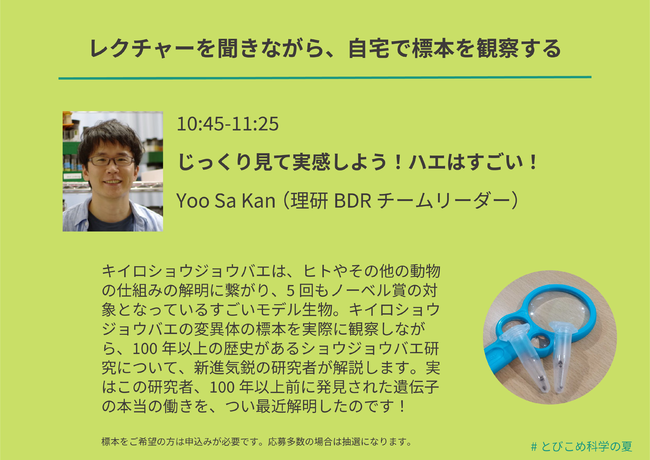 研究者レクチャー・事前申し込みで自宅に標本が届く！