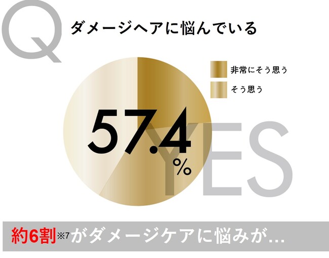 ダメージに悩む77％※1が使い続けたい - ダメージケアの歴史が変わる※2その瞬間 TSUBAKI史上最高峰「プレミアムEX」シリーズ誕生｜株式会社 ファイントゥデイ資生堂のプレスリリース