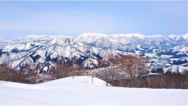 スキー場（イメージ）