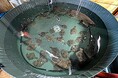 高付加価値漁業をめざす、白糠町とイミューによる官民連携実証プロジェクト第2弾 “空飛ぶタンタカ”が始動