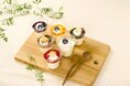 商品開発と販路開拓で酪農に向き合う新たな挑戦！根釧牛乳100%使用の「ミルクプリン」を8月25日（火）発売