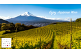 日本ワイン専門ECサイト「Craft Wine Shop」が、ワイン情報メディア「Star Wine List」のナショナルパートナーに就任、世界へ日本ワインの市場を広げる新しい施策をスタート