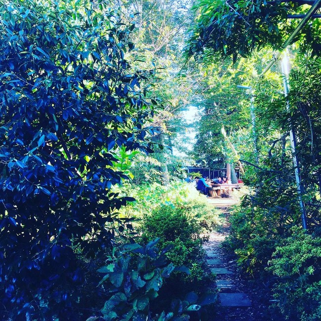 料理人のライフスタイル