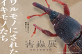 身近に潜む害虫の存在を考え、生き物の“棲み分け”を考える害蟲展season6、東京・大阪で開催!