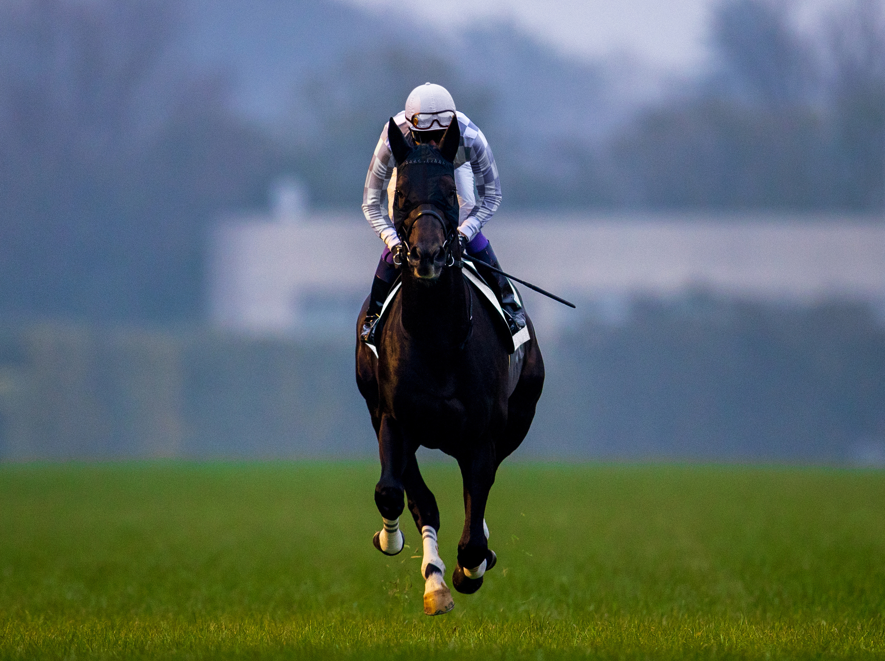 クールモアスタッド 競馬