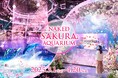 マクセル アクアパーク品川の桜のデジタルアートで彩る「海の世界のお花見」