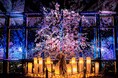ネイキッド×東京タワー 春の夜景が桜色に染まるマッピングショー『TOKYO TOWER CITY LIGHT FANTASIA - Spring Concerto 2025 -』3月1日(土)から開催