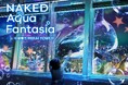 名古屋の夜景×ネイキッドのマッピングショーがリニューアル