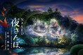 ネイキッドの光のアートが彩る国名勝―石川・小松 那谷寺の特別体験型ツアー&ナイトウォークイベント『NAKED夜さんぽ™』今年も開催