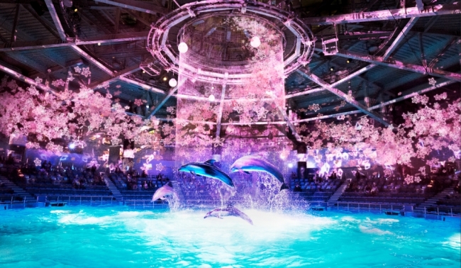 日本最大級の花吹雪 ネイキッド アクアパーク品川が創る水族館のお花見 企業リリース 日刊工業新聞 電子版