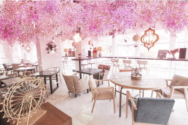 桜とカスミソウで春の花が満ち溢れるカフェに 桜と抹茶の新メニュー 福島民報