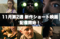 【SAMANSA】11月第2週の新作ショート映画ラインナップを発表！信号機の「中の人」を描く逆転コメディから究極の選択を迫られた親子のブラックショートまで4本を公開！
