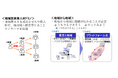【開催】地域新電力のノウハウを共有する連続講座(2025年7月から)