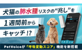 犬猫の肺水腫リスクの“兆し”を1週間前からキャッチ!?PetVoiceが「呼吸変動スコア」機能を新搭載