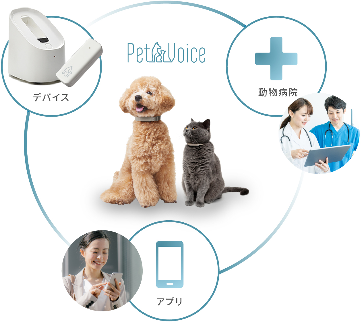 ペット向け首輪型健康管理デバイスを提供するpetvoiceがシードラウンドで6 000万円の第三者割当増資を実施 動物 病院 獣医師との連携を加速 株式会社petvoiceのプレスリリース